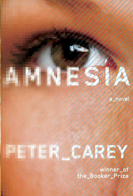 Обложка книги «Amnesia»