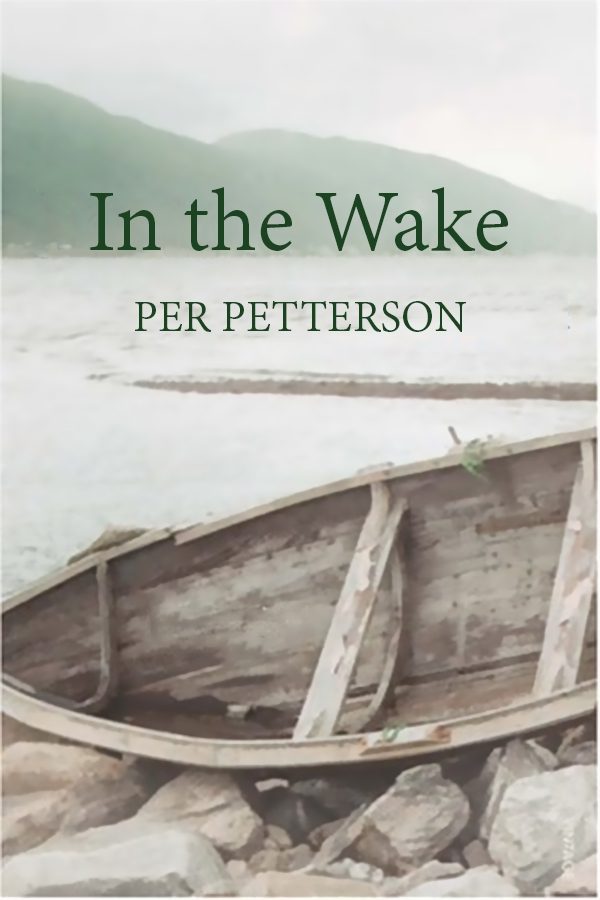 Обложка книги «In The Wake»
