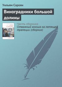 Обложка книги «Виноградники большой долины»