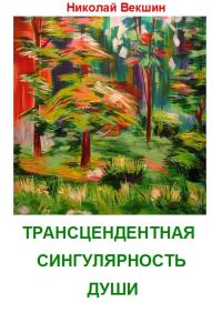 Обложка книги «Трансцендентная сингулярность души»
