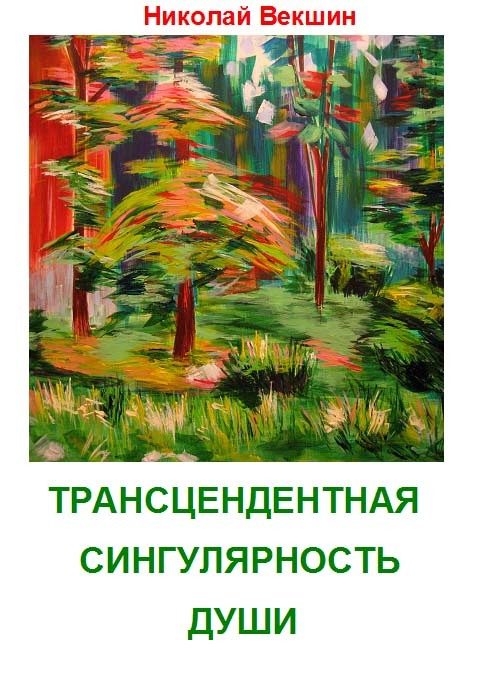 Обложка книги «Трансцендентная сингулярность души»