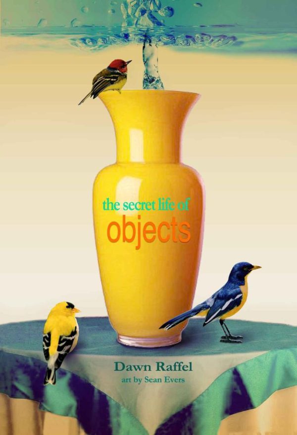 Обложка книги «The Secret Life of Objects»