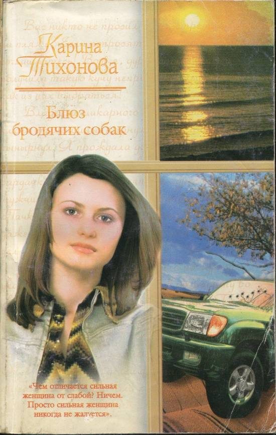 Обложка книги «Блюз бродячих собак»