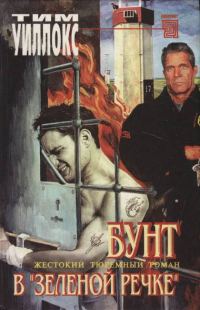 Обложка книги «Бунт в «Зеленой Речке»»