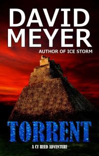 Обложка книги «Torrent»