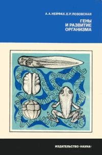 Обложка книги «Гены и развитие организма»