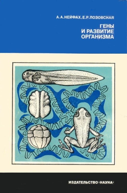 Обложка книги «Гены и развитие организма»