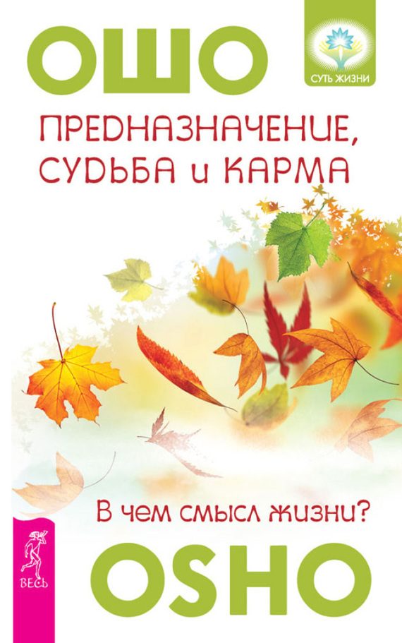 Обложка книги «Предназначение, судьба и карма. В чем смысл жизни?»