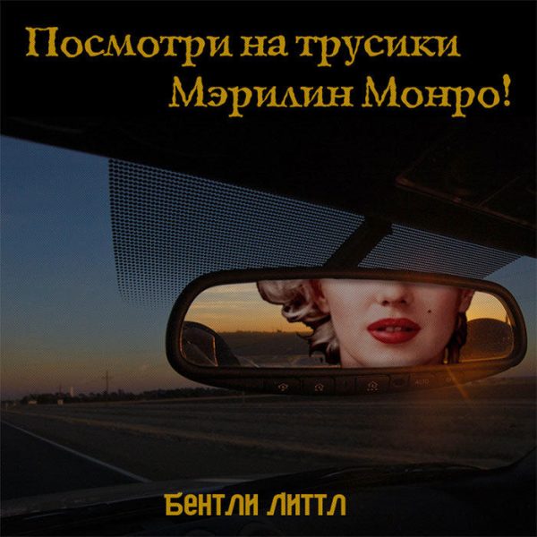 Обложка книги «Посмотри на трусики Мэрилин Монро!»