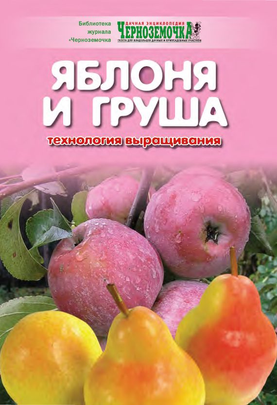 Обложка книги «Яблоня и груша. Технология выращивания»