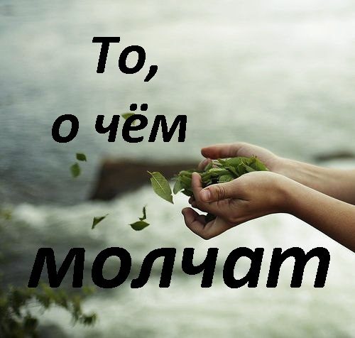 Обложка книги «То, о чем молчат [СИ]»