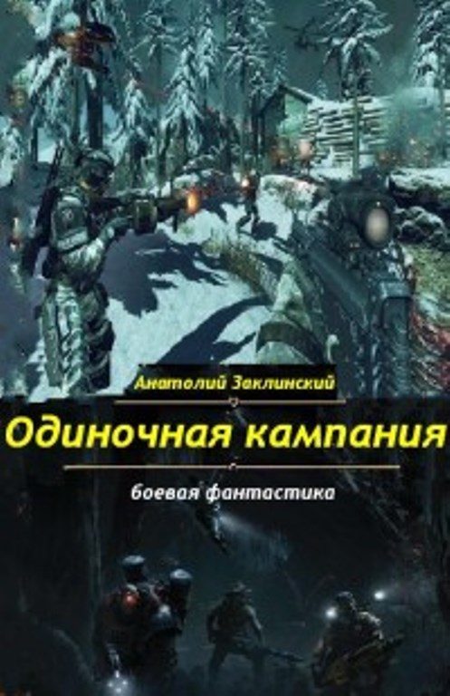 Обложка книги «Одиночная кампания»