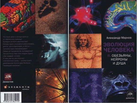 Обложка книги «Эволюция человека. Книга 2. Обезьяны, нейроны и душа»