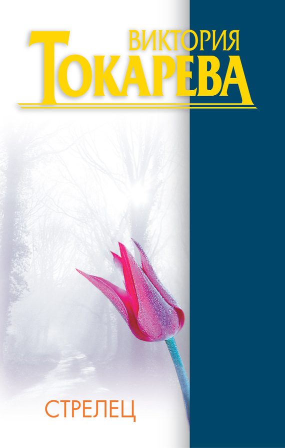 Обложка книги «Стрелец»