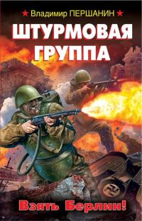Обложка книги «Штурмовая группа. Взять Берлин!»