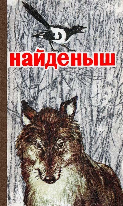 Обложка книги «Найденыш»