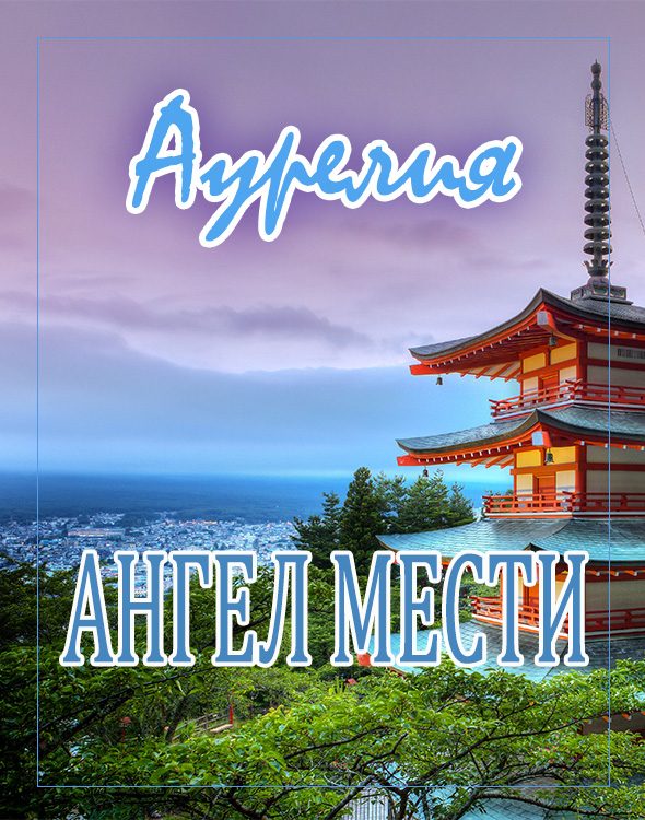 Обложка книги «Ангел мести»