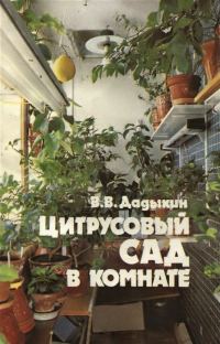 Обложка книги «Цитрусовый сад в комнате»