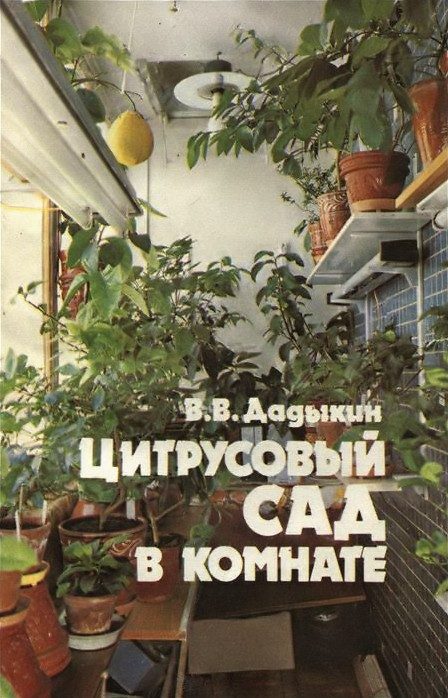 Обложка книги «Цитрусовый сад в комнате»