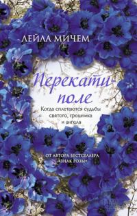 Обложка книги «Перекати-поле»