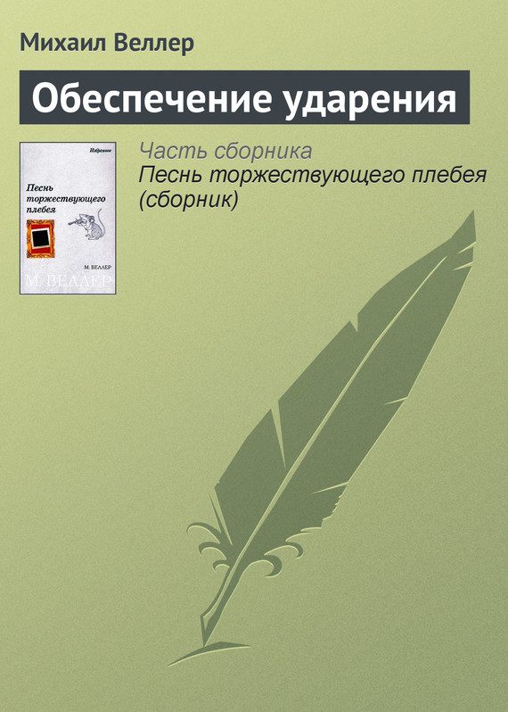 Обложка книги «Обеспечение ударения»
