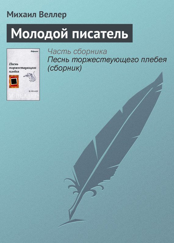 Обложка книги «Молодой писатель»