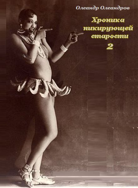 Обложка книги «Хроника пикирующей старости – 2»