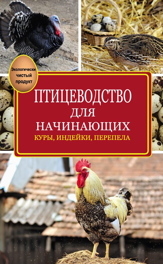 Обложка книги «Птицеводство для начинающих»