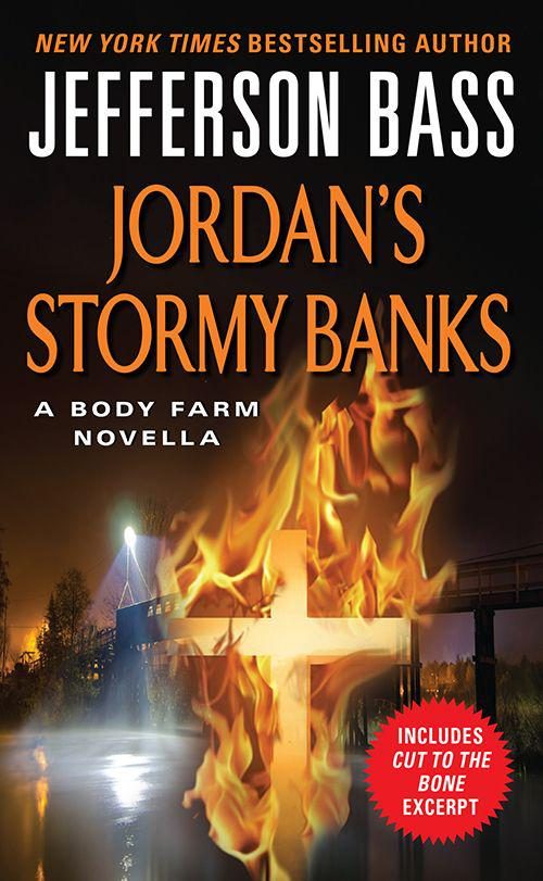 Обложка книги «Jordan's Stormy Banks»