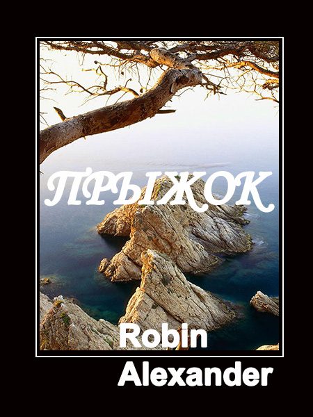 Обложка книги «Прыжок»