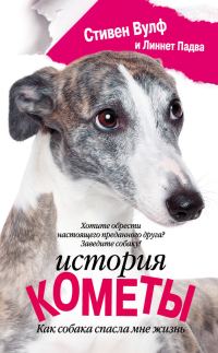 Обложка книги «История Кометы»