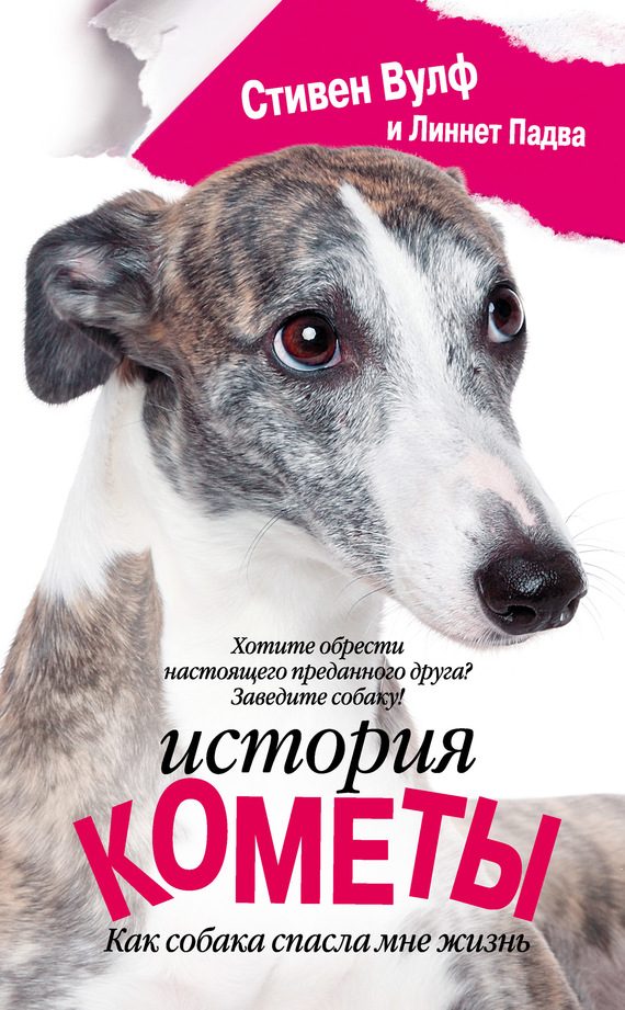 Обложка книги «История Кометы»