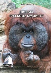 Обложка книги «Письма русскому буддисту»