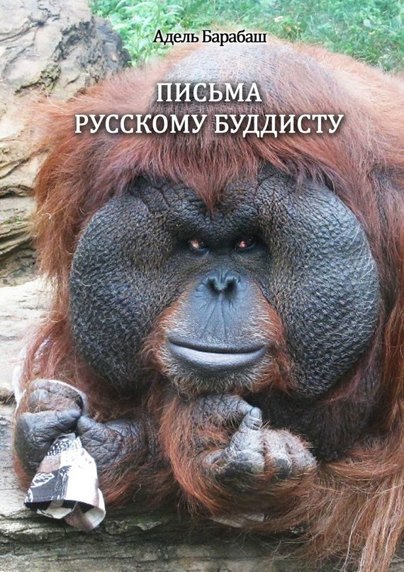 Обложка книги «Письма русскому буддисту»