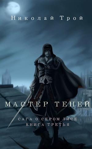 Обложка книги «Мастер теней»