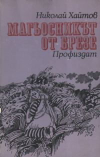 Обложка книги «Магьосникът от Брезе»