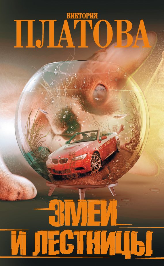 Обложка книги «Змеи и лестницы»