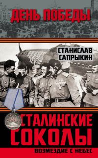 Обложка книги «Сталинские соколы»