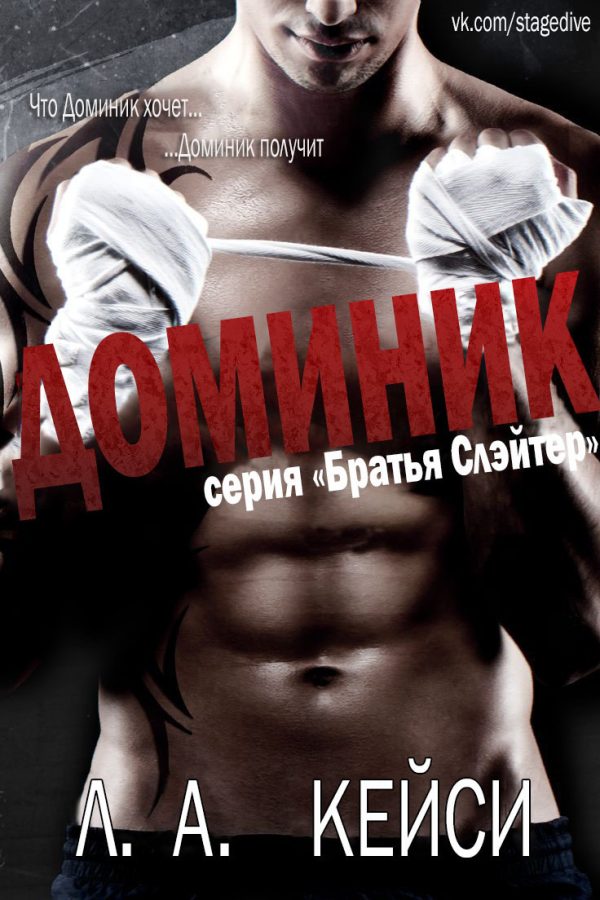 Обложка книги «Доминик»