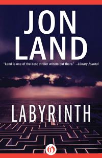 Обложка книги «Labyrinth»