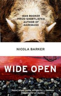 Обложка книги «Wide Open»