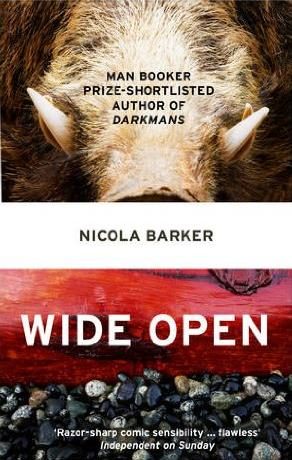 Обложка книги «Wide Open»