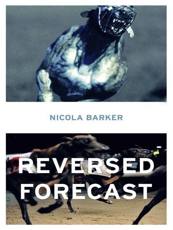 Обложка книги «Reversed Forecast»