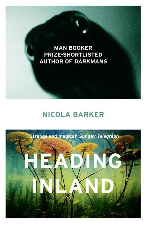 Обложка книги «Heading Inland»