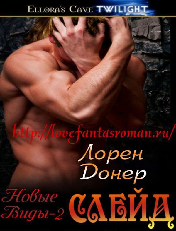 Обложка книги «Слейд»