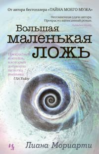 Обложка книги «Большая маленькая ложь»