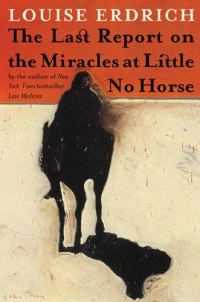 Обложка книги «The Last Report on the Miracles at Little No Horse»
