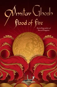 Обложка книги «Flood of Fire»