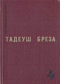 Обложка книги «Лабиринт»