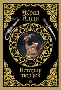 Обложка книги «История тюрков»